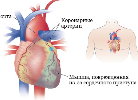 Хотите узнать будущее? Сначала поймите эти три вещи.